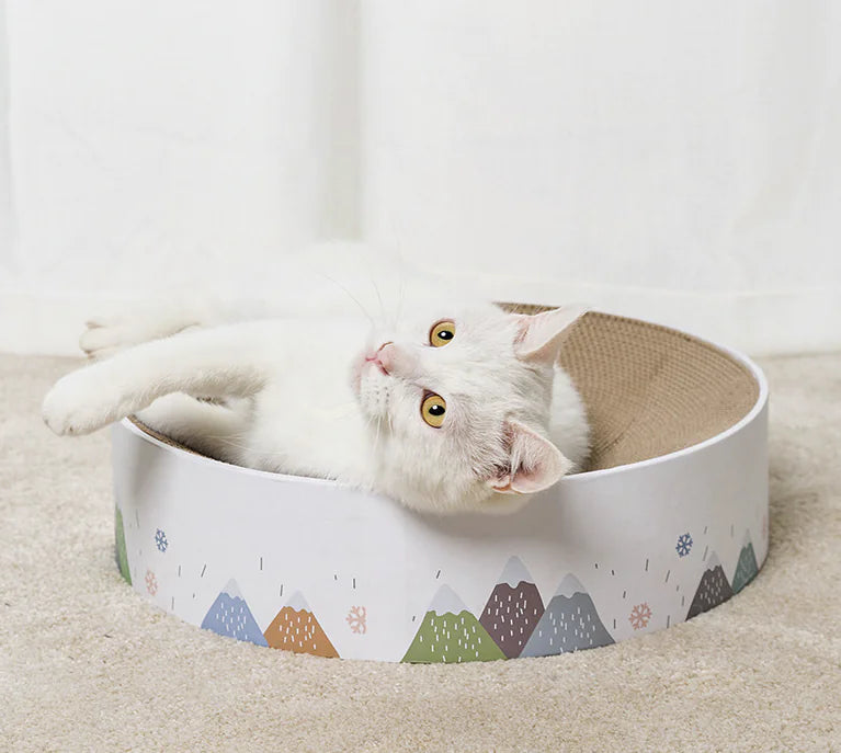 Cat Scratching Bowl