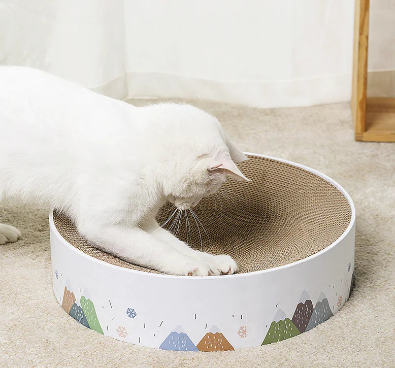 Cat Scratching Bowl