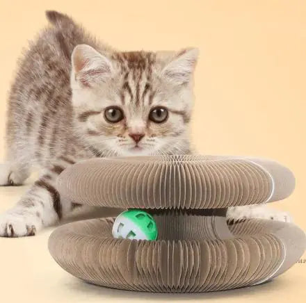 Transformable Cat Scratcher