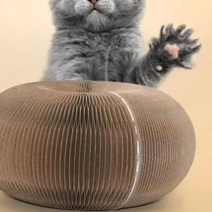 Transformable Cat Scratcher