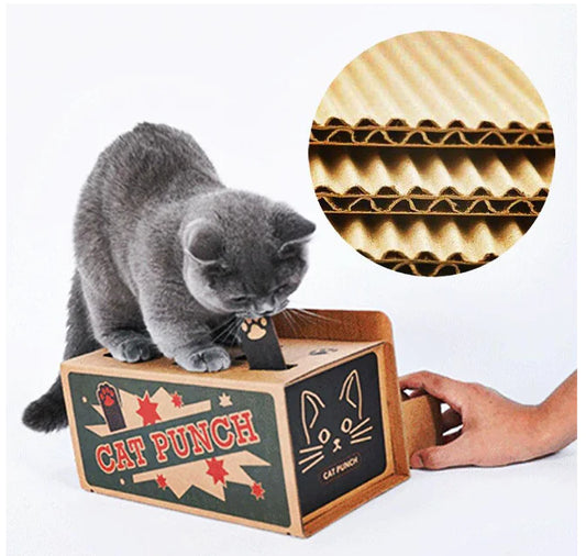 Cat Cardboard Box and Whack-a-Mole Toy