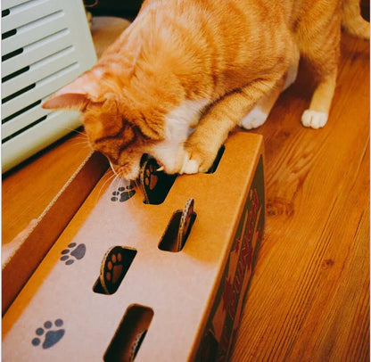 Cat Cardboard Box and Whack-a-Mole Toy
