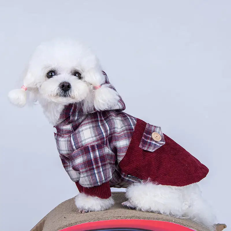 Teddy Small Dog Coat