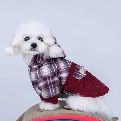 Teddy Small Dog Coat