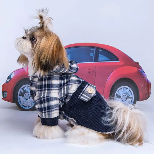 Teddy Small Dog Coat
